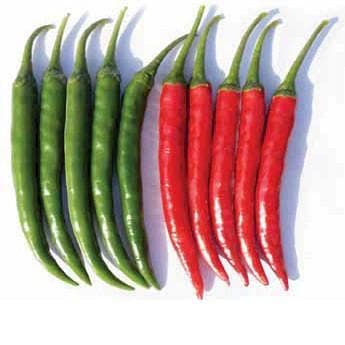 HP 5424 Chilli Seeds - Nongwoo | F1 Hybrid | Buy Online at Best Price
