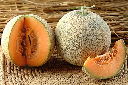 Patasha Muskmelon Seeds - Kalash | F1 Hybrid | Buy Online at Best Price