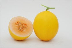 Sanvi Muskmelon Seeds - Known You | F1 Hybrid | Buy Online at Best Price