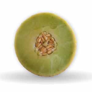 Rocky 2 Musk Melon Seeds - Fito | F1 Hybrid | Buy Online at Best Price