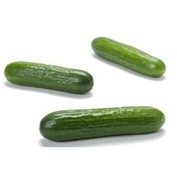 Falconstar RZ Cucumber Seeds - Rijk Zwaan | F1 Hybrid | Buy Online at Best Price