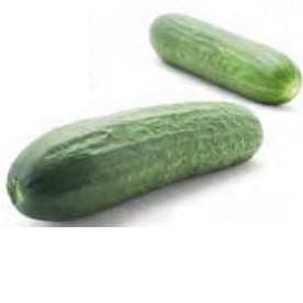 Kingstar RZ Cucumber Seeds - Rijk Zwaan | F1 Hybrid | Buy Online Now