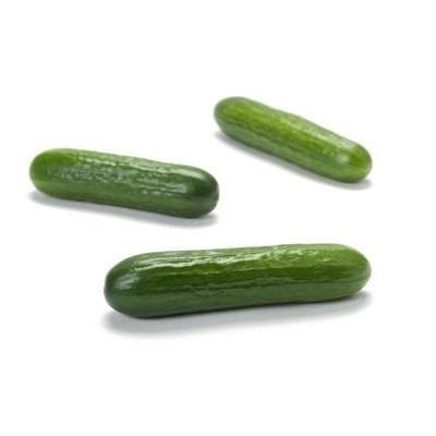 Sunstar RZ Cucumber Seeds - Rijk Zwaan | F1 Hybrid | Buy Online at Best Price