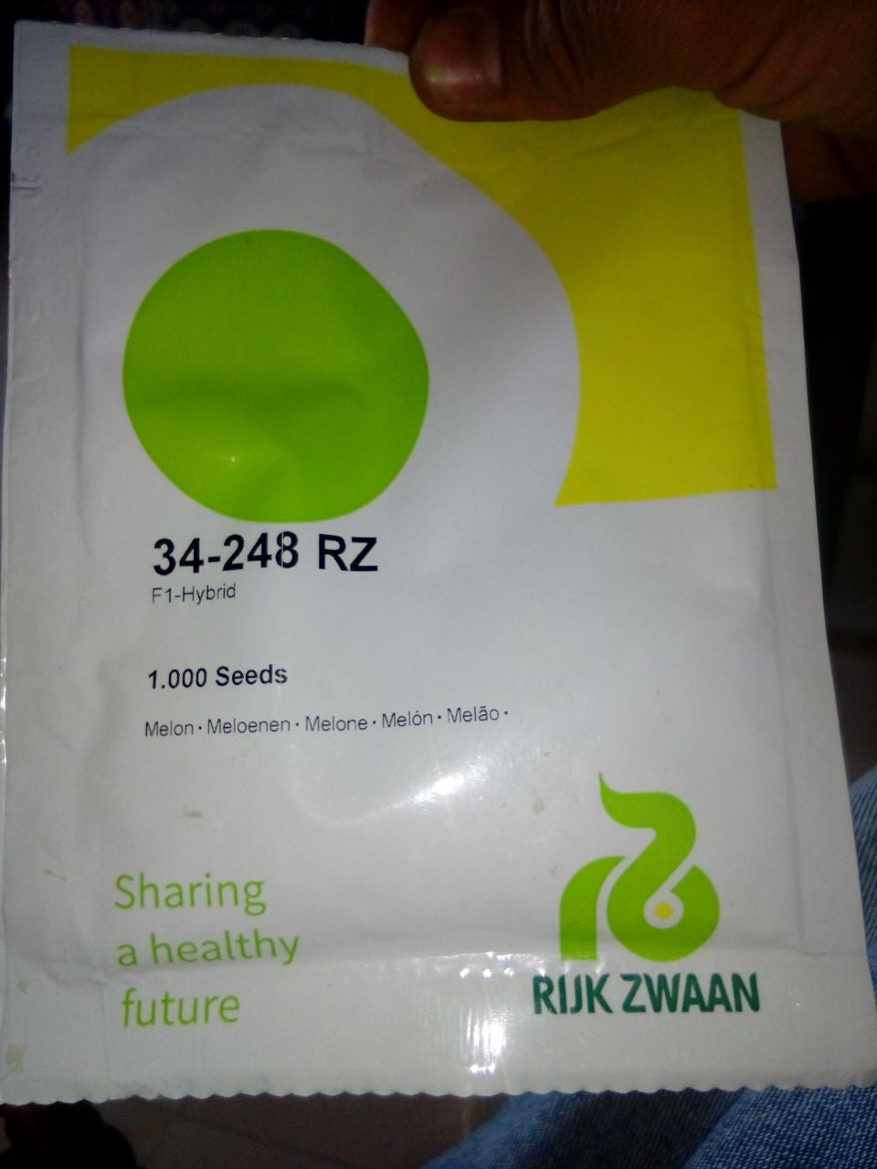 34-248 RZ Muskmelon Seeds - Rijk Zwaan | F1 Hybrid | Buy Online Now