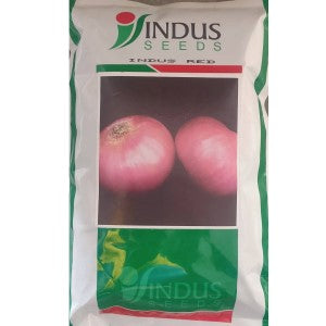 Indus Red Onion Seeds | F1 Hybrid | Buy Online at Best Price