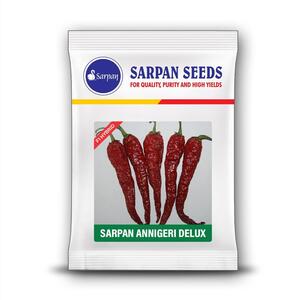 Sarpan Annigeri Delux Chilli Seeds | F1 Hybrid | Buy Online at Best Price