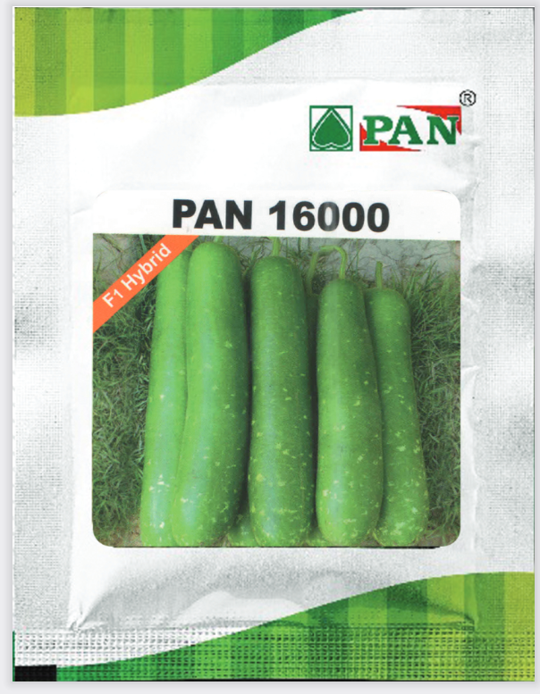 Pan 16000 Bottle Gourd Seeds | F1 Hybrid | Buy Online at Best Price