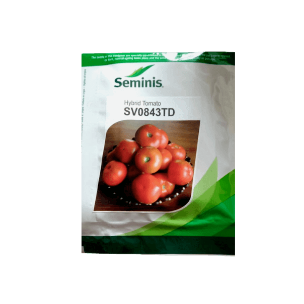 SV0843TD Tomato Seeds Seminis F1 Hybrid Buy Online at Best Price