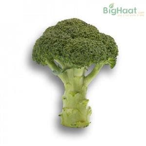 Tahoe RZ Broccoli Seeds - Rijk Zwaan | F1 Hybrid | Buy Online at Best Price