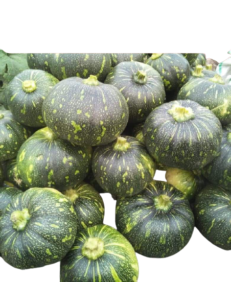 Kalindi Pumpkin Seeds - Tokita | F1 Hybrid | Buy Online at Best Price