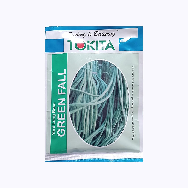 Yard Long Bean Green Fall Beans Seeds - Tokita | Buy Online Now