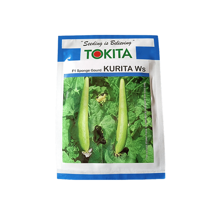 Kurita WS Sponge Gourd - Tokita | F1 Hybrid | Buy Online at Best Price