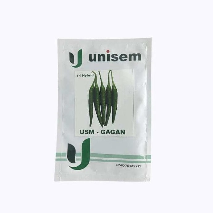 USM - Gagan Chilli Seeds | Buy Online At Best Price