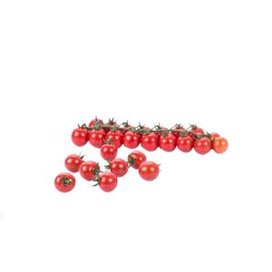 72-197 RZ Cherry Tomato Seeds - Rijk Zwaan | F1 Hybrid | Buy Online at Best Price