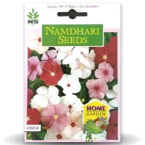 NS Vinca Pacifica Mix Seeds - Namdhari | F1 Hybrid | Buy Online at Best Price