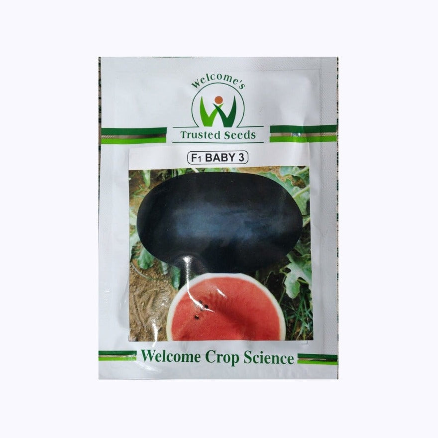 Baby 3 Watermelon Seeds - Welcome | F1 Hybrid | Buy Online - DesiKheti