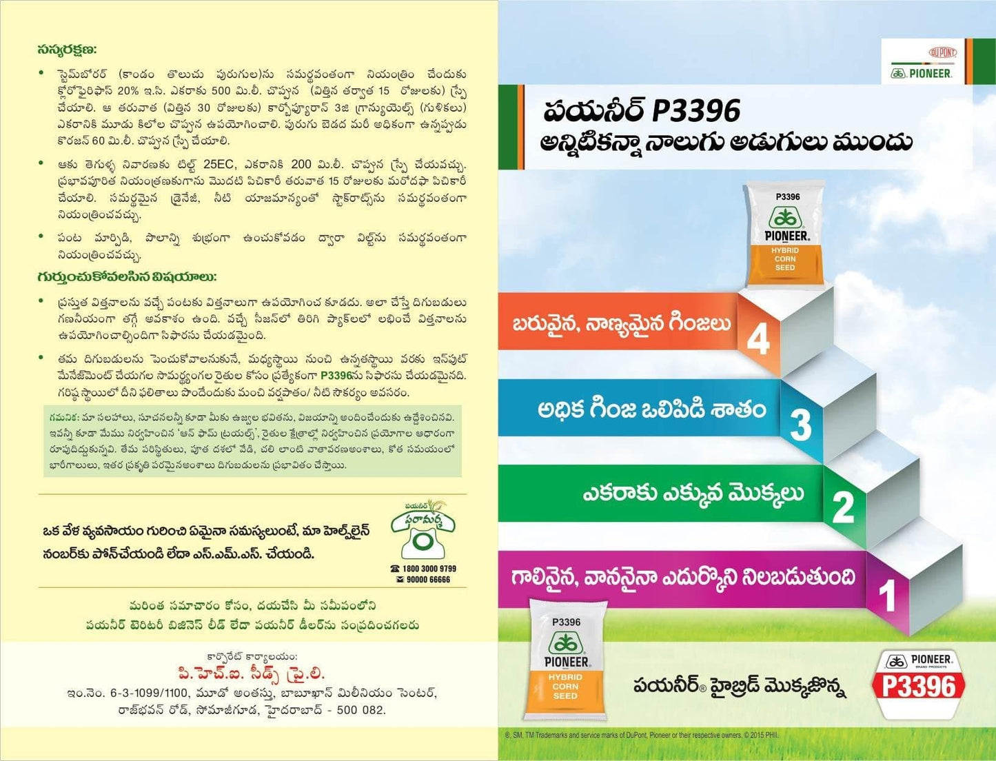 P3396 Corn Seeds - Pioneer | F1 Hybrid | Buy Online at Best Price