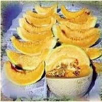 Kundan Muskmelon Seeds - Known You | F1 Hybrid | Buy Online at Best Price