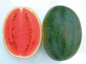 NS 20 Watermelon (H 20 Watermelon) - Namdhari | F1 Hybrid | Buy Online at Best Price