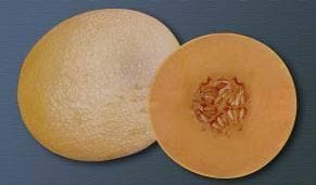 NS 7455 Muskmelon Seeds - Namdhari | F1 Hybrid | Buy Online at Best Price