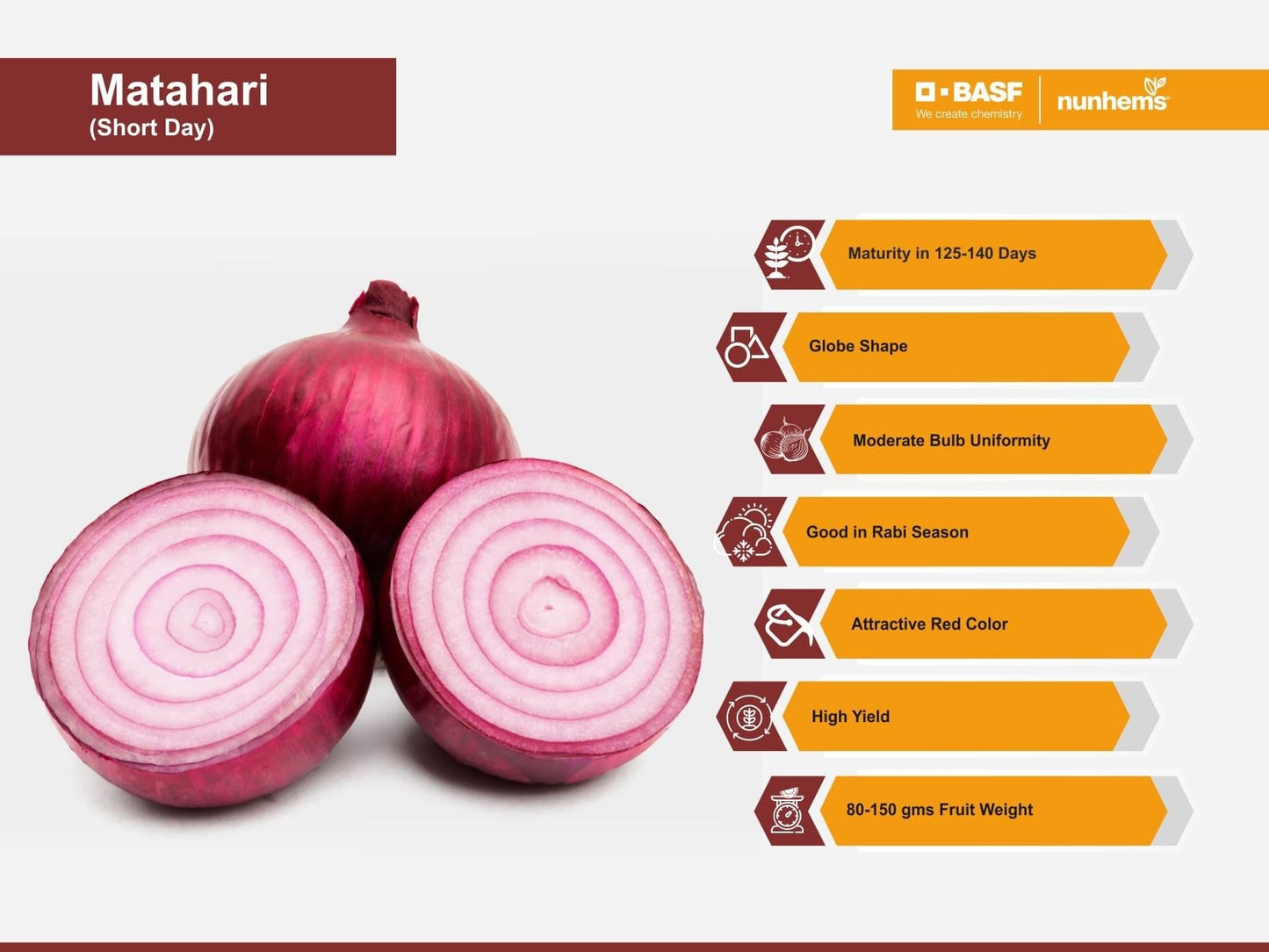 Matahari Onion Seeds - Nunhems | F1 Hybrid | Buy Online at Best Price