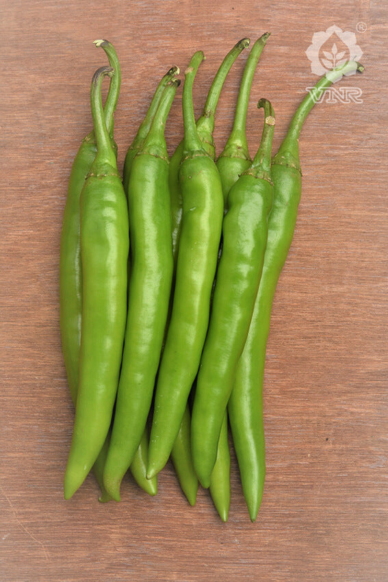 Pari Chilli Seeds - VNR | F1 Hybrid | Buy Online at Best Price