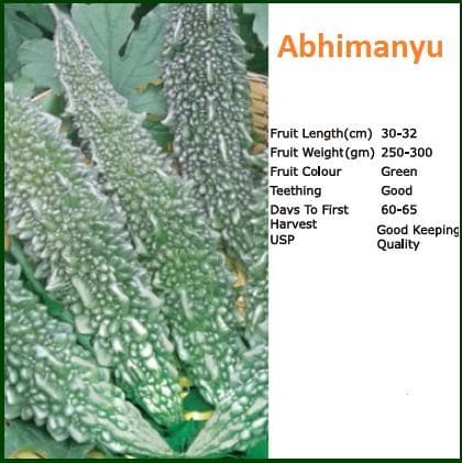 Abhimanyu Bitter Gourd Seeds - Bioseed | F1 Hybrid | Buy Online at Best Price