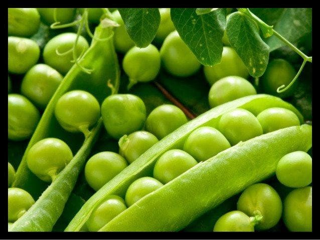 GS-10 Pea Seeds - Advanta | F1 Hybrid | Buy Online - DesiKheti