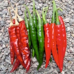 Hot King Chilli Seeds - Fito | F1 Hybrid | Buy Online at Best Price