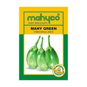 MAHY Green Brinjal Seeds - Mahyco | F1 Hybrid | Buy Online at Best Price
