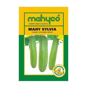 MAHY SYLVIA Cucumber Seeds - Mahyco | F1 Hybrid | Buy Online at Best Price