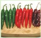 Priyanka Chilli Seeds - Nunhems | F1 Hybrid | Buy Online at Best Price