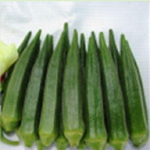 Sartaj Bhendi (Okra) Seeds - Nunhems | F1 Hybrid | Buy Online at Best Price