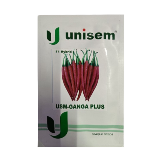 Ganga Plus Chilli Seeds - Unisem | F1 Hybrid | Buy Online at Best Price