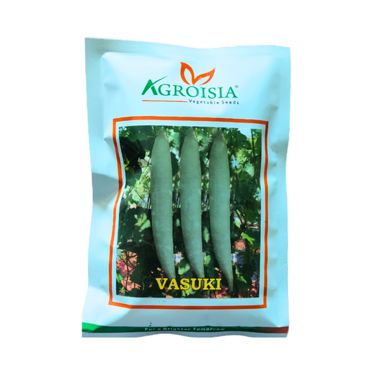 Vasuki Snake Gourd Seeds - Agroisia | F1 Hybrid | Buy Online at Best Price