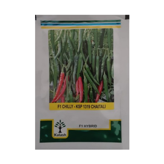KSP-1319 Chaitali Chilli Seeds - Kalash | F1 Hybrid | Buy Online Now