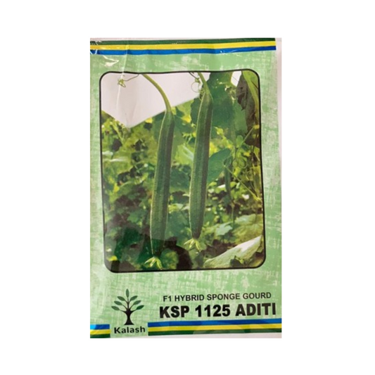 Aditi KSP-1125 Sponge Gourd Seeds - Kalash | F1 Hybrid | Buy Online at Best Price