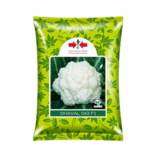 Dhaval 043 Cauliflower Seeds - East West | F1 Hybrid | Buy Online at Best Price