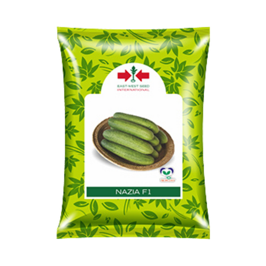 Nazia Cucumber Seeds - East West | F1 Hybrid | Buy Online at Best Price