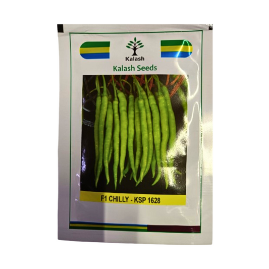 Chingari (KSP-1628) Chilli Seeds - Kalash | F1 Hybrid | Buy Online Now