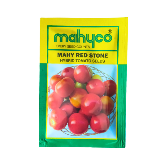 Mahy Red Stone(2703) Tomato Seeds - Mahyco | F1 Hybrid | Buy Online at Best Price