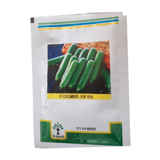 KSP -1614 Cucumber Seeds - Kalash | F1 Hybrid | Buy Online at Best Price