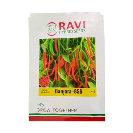 Banjara - 856 Chilli Seeds - Ravi Hybrid Seeds | F1 Hybrid | Buy Online at Best Price
