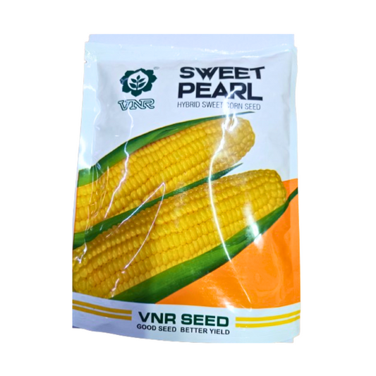 Sweet Pearl Sweet Corn Seeds - VNR | F1 Hybrid | Buy Online at Best Price