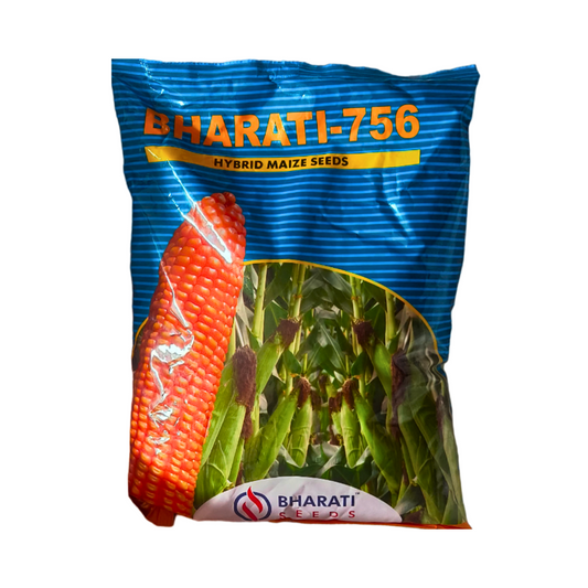 Bharati 756 Maize Seeds - Yaganti Agro Tech | F1 Hybrid | Buy Online at Best Price