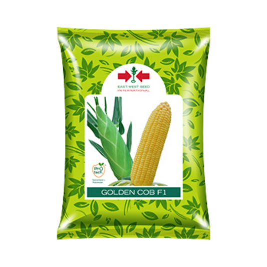 Golden Cob Sweet Corn Seeds - East West | F1 Hybrid | Buy Online at Best Price