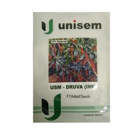 Druva (IMP) Chilli Seeds - Unisem | F1 Hybrid | Buy Now at Best Price