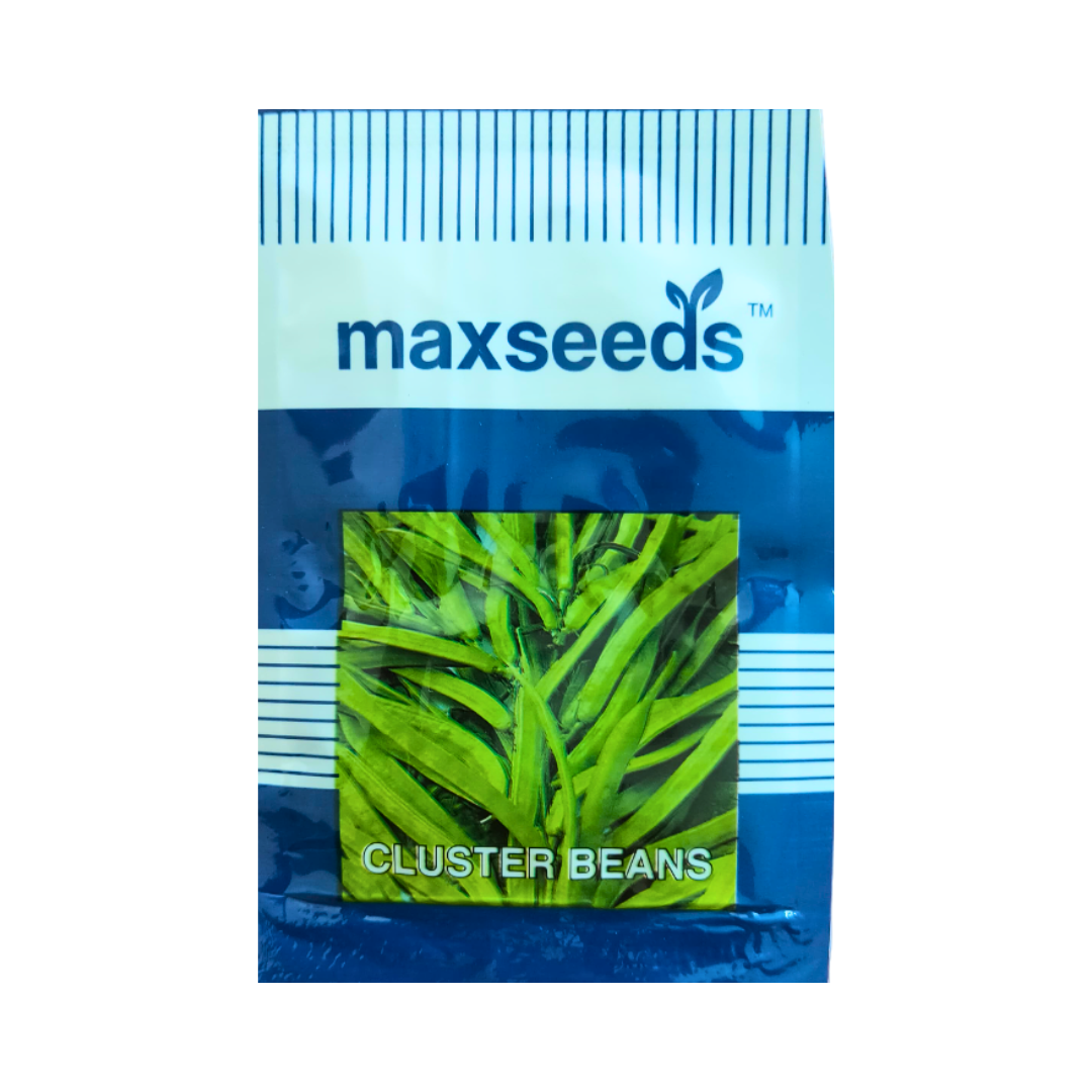 Cluster Beans Seeds - Max | F1 Hybrid | Buy Online at Best Price