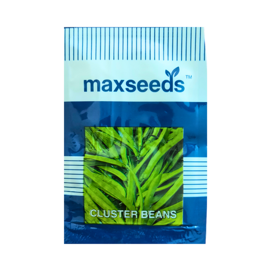 Cluster Beans Seeds - Max | F1 Hybrid | Buy Online at Best Price