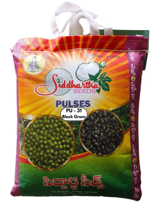 PU - 31 Black Gram Seeds